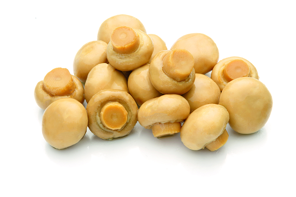 Mushroom