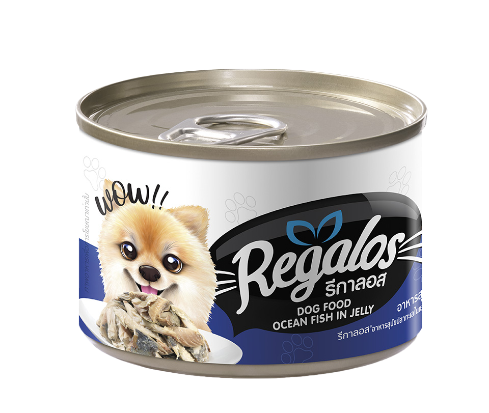 Regalos-Ocean-Fish-in-Jelly-