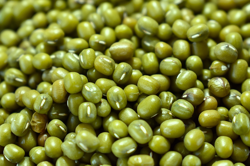 IQF-Green-Beans